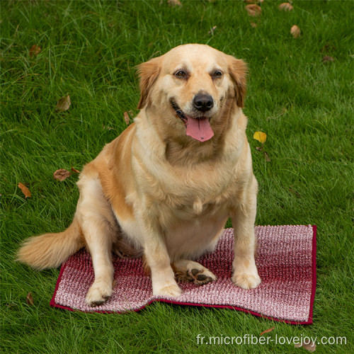 Serviette de bain pour animaux de compagnie en chenille en fibre super absorbante